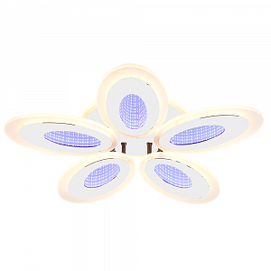 8091/5 WHT