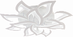 8845/8+4A WHT (МАРКЕТ)